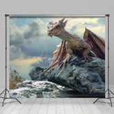 Aperturee - Aperturee Cloud Sky Rocks Welsh Dragon Natural Scene Backdrop